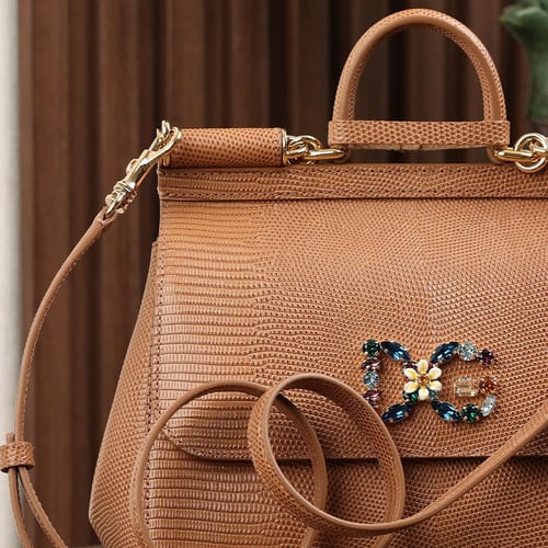 شنطة دولسي اند غابانا يد كاكي