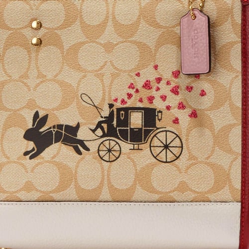 شنطة كوتش العام القمري