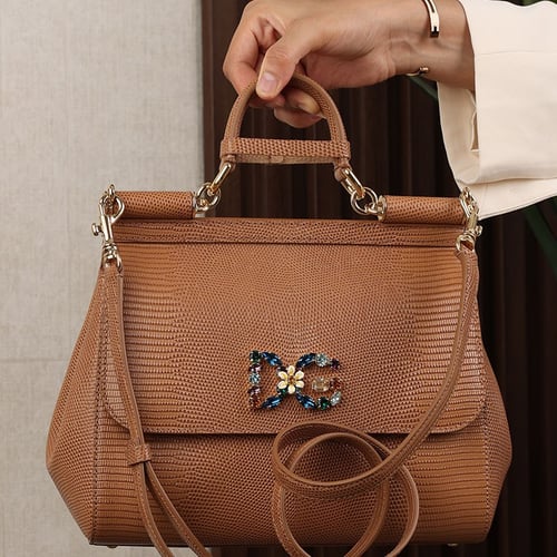 شنطة دولسي اند غابانا يد كاكي