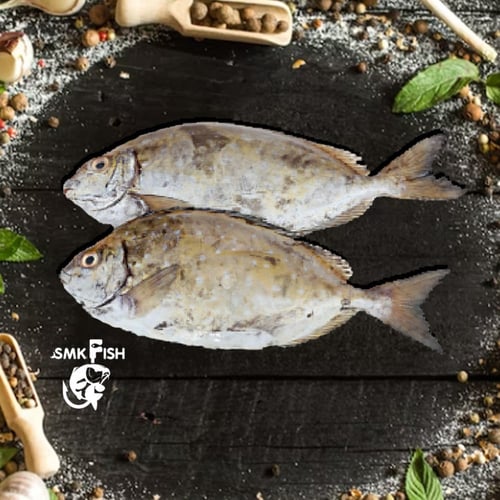 صافي نصف كيلو safi 1/2