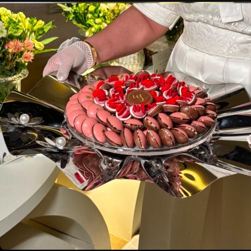 صينية استيل