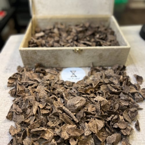 عود ماليزي قديم غابات صباح سوبر مرتفع