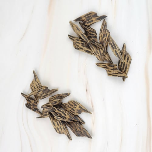 أوقيتين كمبودي تايقر فاخر