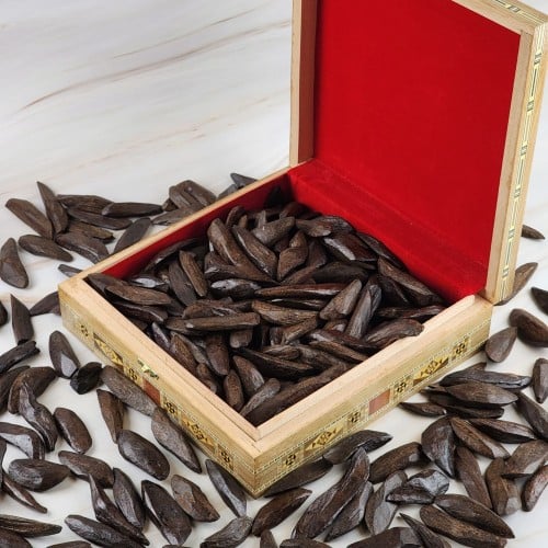 موروكي آصقون جبلي طبيعي محسن بالجملة