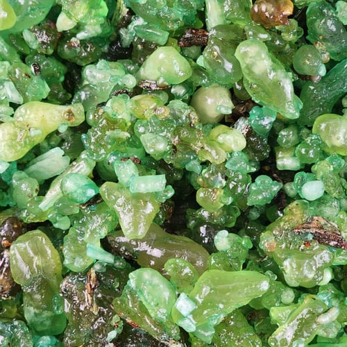 لبان مسقى باللافندر