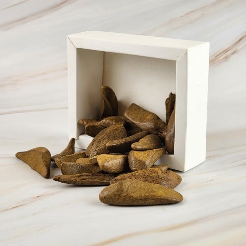 عود المجالس المحسن