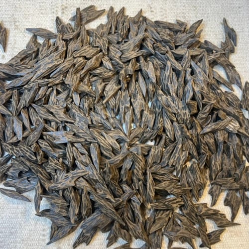 كمبودي تايقر محسن فاخر