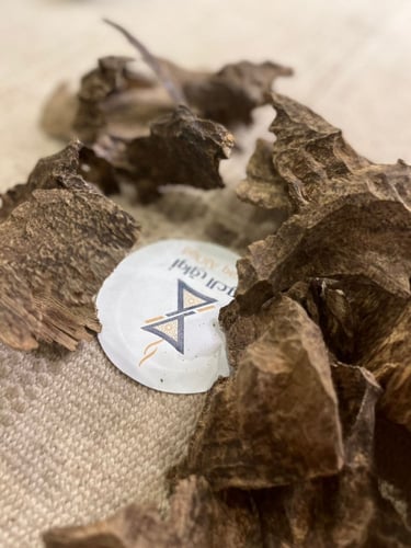 عود كمبودي قواقع سوبر وسوبر مرتفع