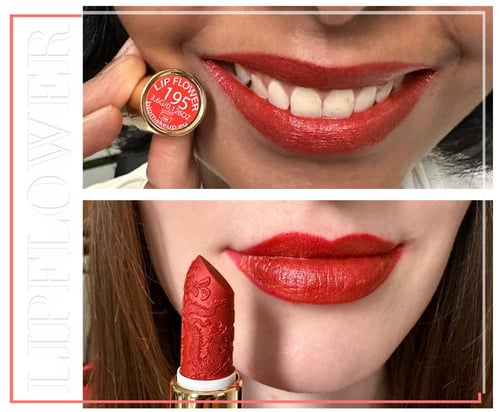 احمر شفاه زهرة طائر الجنة