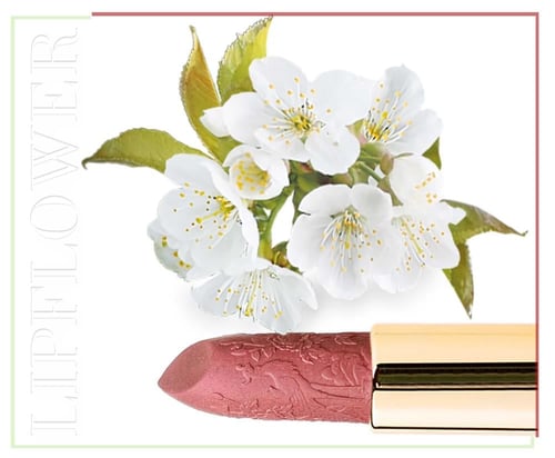 احمر شفاه زهر الكرز