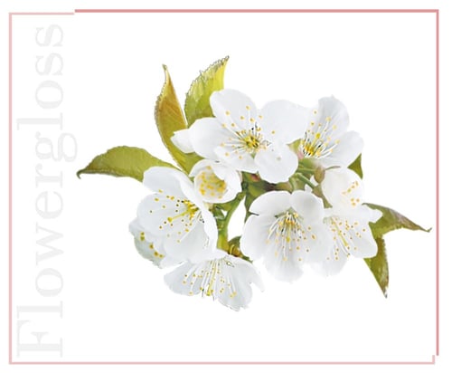 غلوس الشفاه بنفحات زهر الكرز