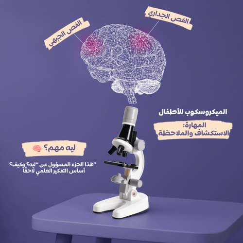 باقة المستكشف الصغير