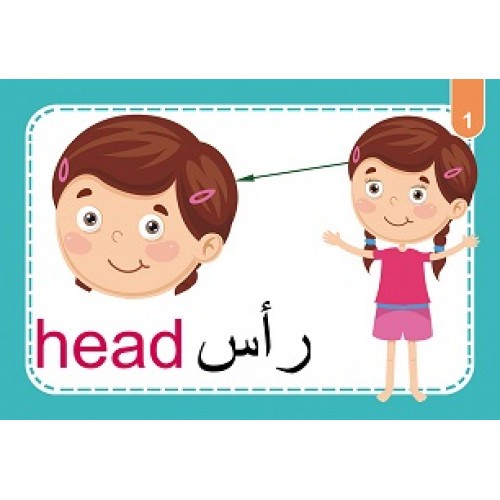 بطاقات جسم الإنسان