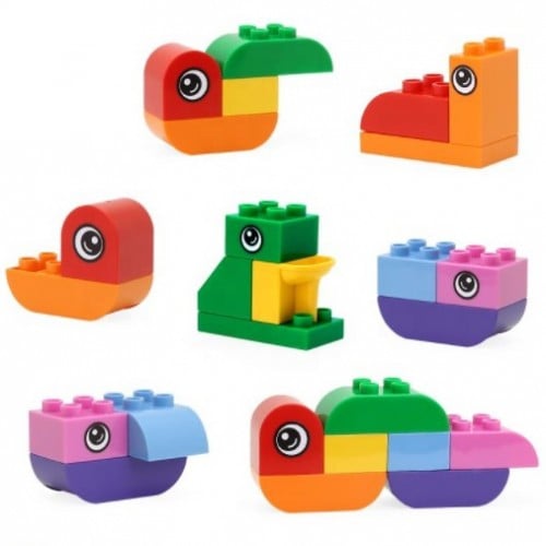 لعبة التركيب - نمو اليرقة