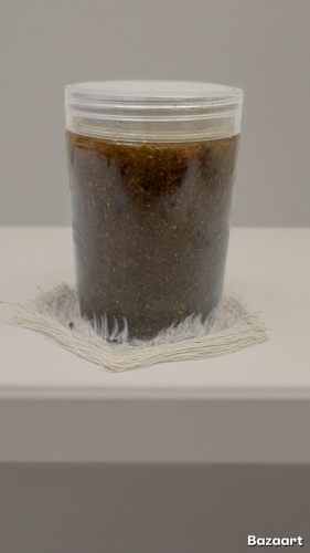 عسل الانجاب للرجل - بالرقيه الشرعيه