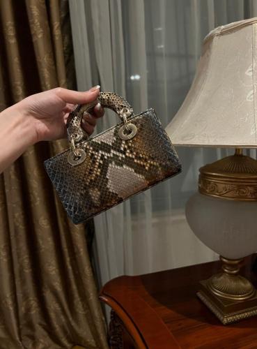 شنط ديور برايانا 163814