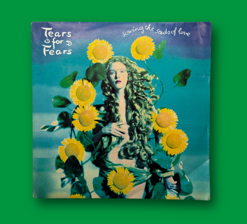 أسطوانة أجنبية | Tears for Fears