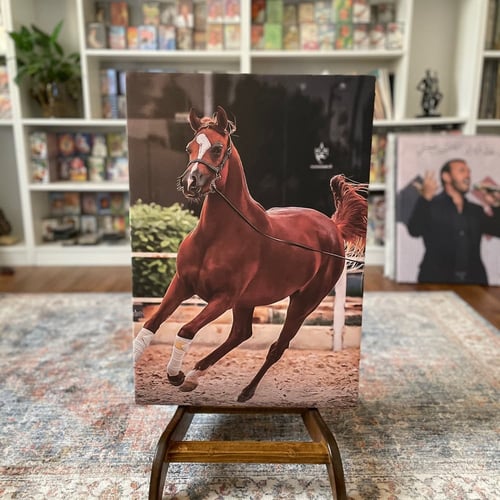 لوحة خاصة | حسب طلبك