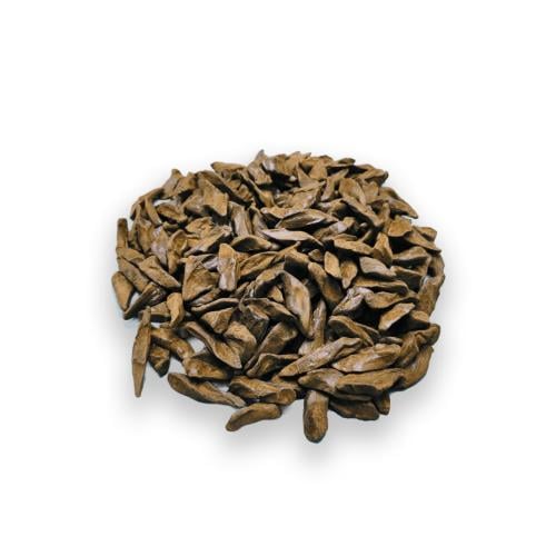 مروكي سيقنتشر SIGNATURE