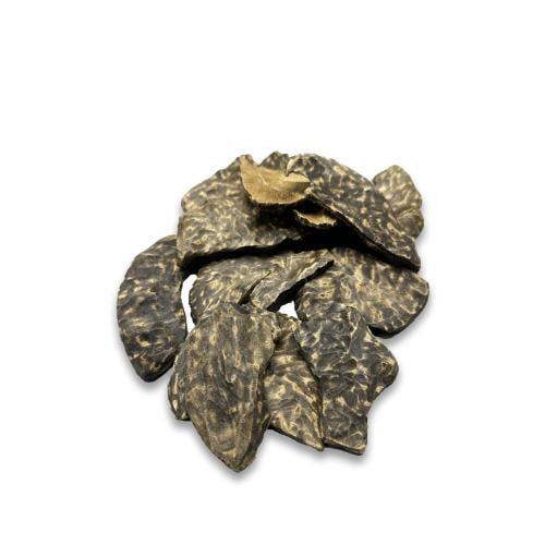 عود فيتنامي قواقع