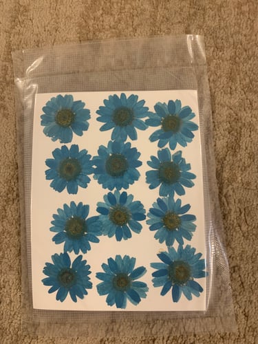 ورد مجفف متوفر عده الوان بالحبه