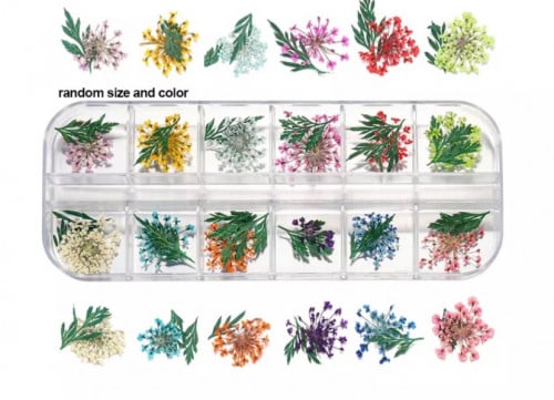 تشكيله علبه ورد مجفف