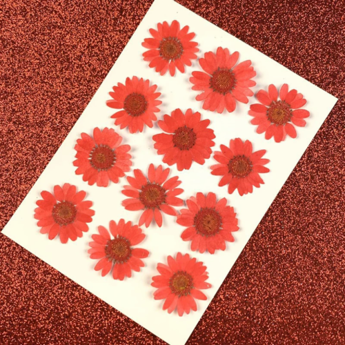 ورد مجفف احمر