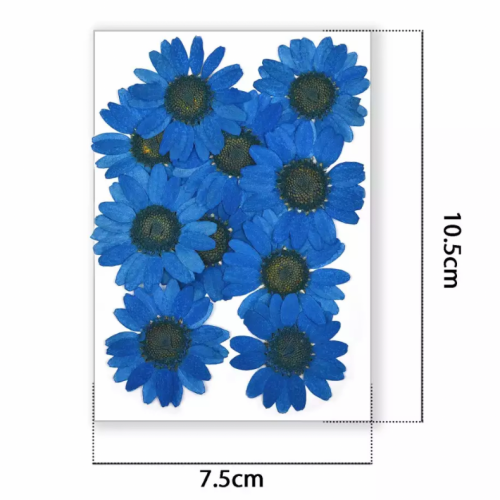 ورد مجفف ازرق