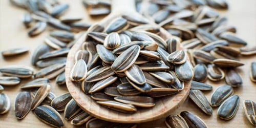 حب دوار الشمس