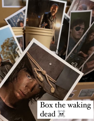 بوكس the waking dead