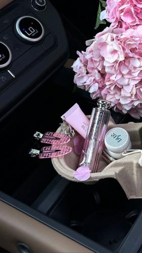 Dior hair clips