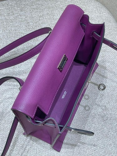 Kelly dance evercolor anemone