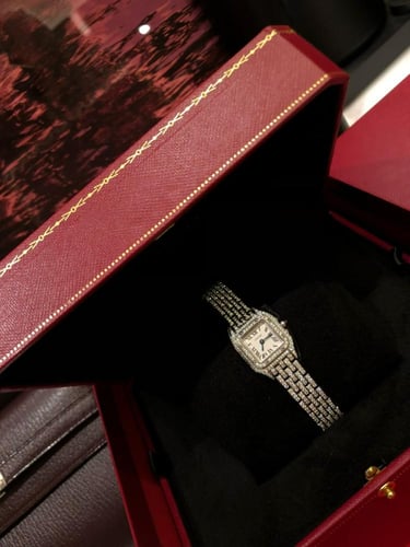 كارتييه بانثر فولاذ والماس vvs1 مقاس ١٩ مم