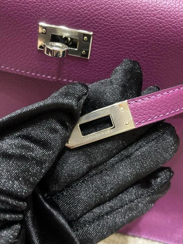 Kelly dance evercolor anemone