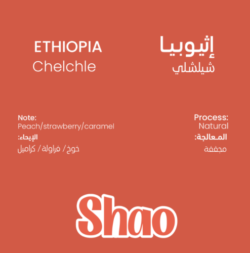 محمصة شاو -إثيوبيا شيلشلي 1000G