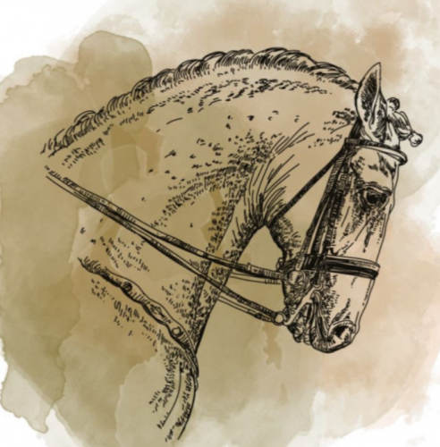 مصنع القهوة | أروقيت