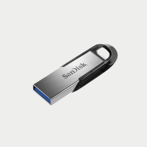 فلاش SanDisK 256 GB