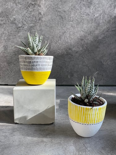 اصيص فخاري ملون