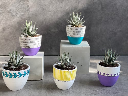 اصيص فخاري ملون