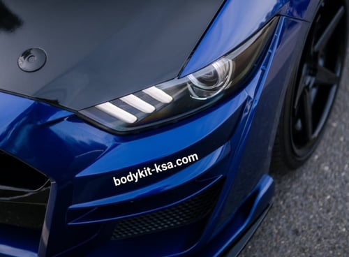 كبوت شيلبي GT500