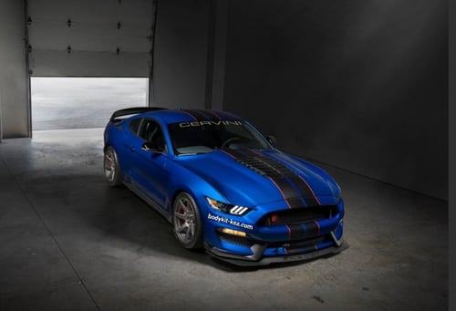 كبوت شيلبي GT500