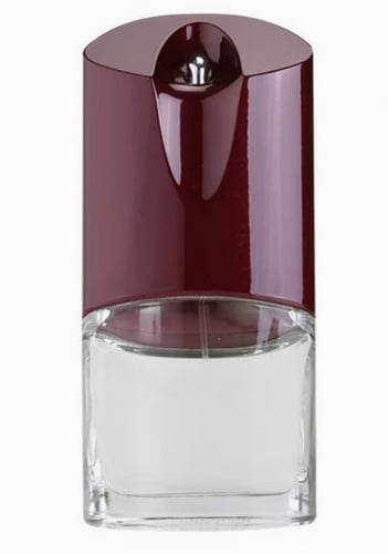 جيفنشي عطر بور هوم EDT للرجال 100 مل