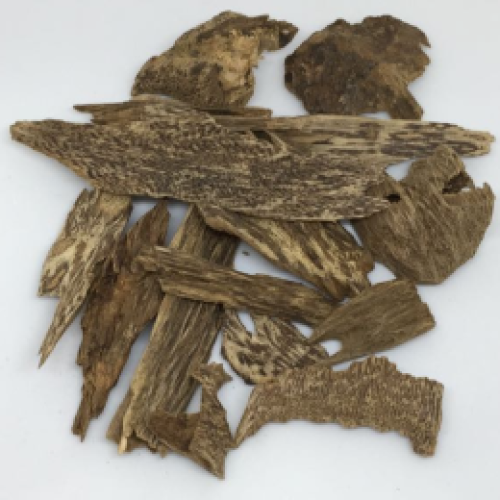 عود ماليزي غابات سوبر مرتفع