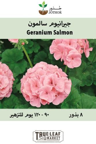 بذور جيرانيوم سالمون - Salmon Geranium Seeds