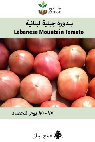 بذور بندورة جبلية لبنانية - Lebanese Mountain Toma...