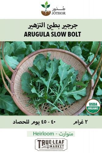 بذور جرجير بطيئ التزهير - Arugula Slow Bolt Seeds