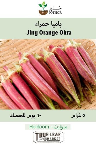 بذور باميا حمراء - Jing Orange Okra Seeds