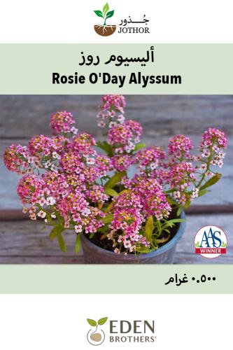 بذور اليسيوم روز - Rosie O'Day Alyssum Seeds