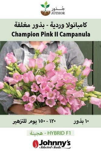 كامبنولا وردية - بذور مغلفة - Champion Pink II Pel...