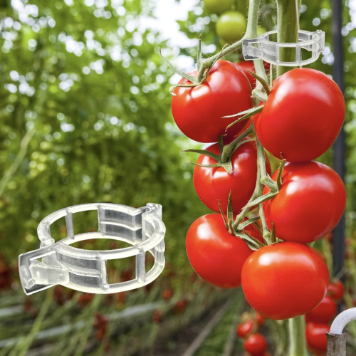 ٢٠ قطعة مشابك الأغصان